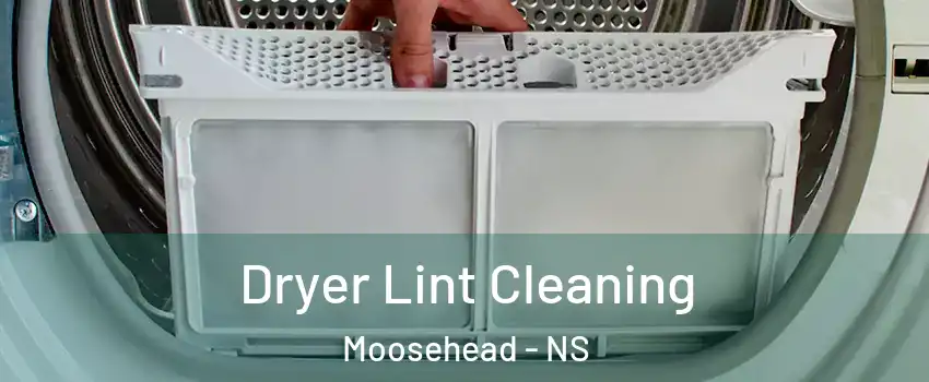  Dryer Lint Cleaning Moosehead - NS