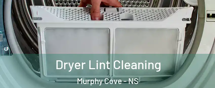  Dryer Lint Cleaning Murphy Cove - NS