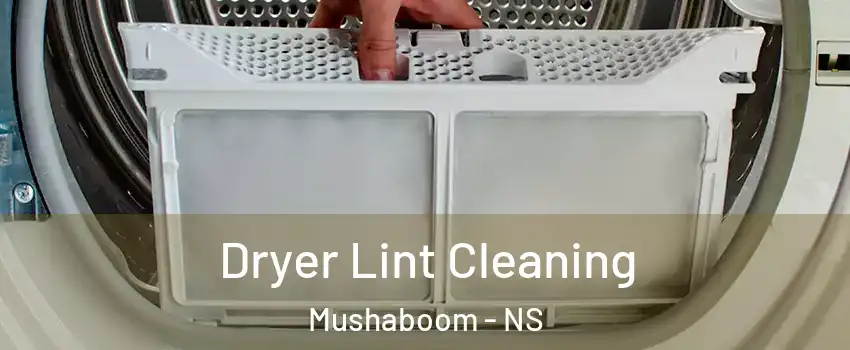  Dryer Lint Cleaning Mushaboom - NS