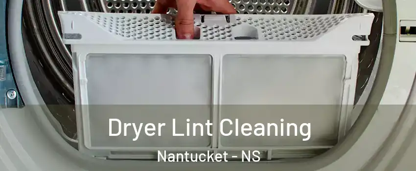  Dryer Lint Cleaning Nantucket - NS
