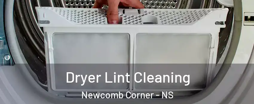  Dryer Lint Cleaning Newcomb Corner - NS