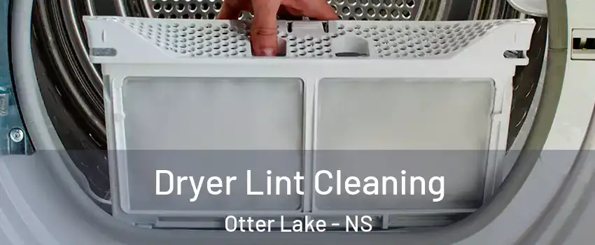  Dryer Lint Cleaning Otter Lake - NS