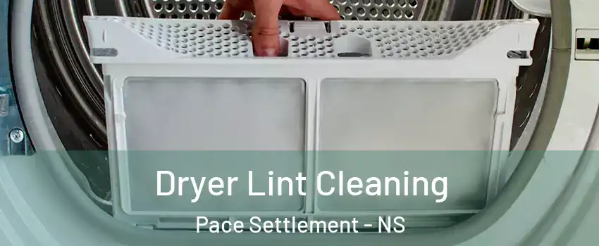  Dryer Lint Cleaning Pace Settlement - NS