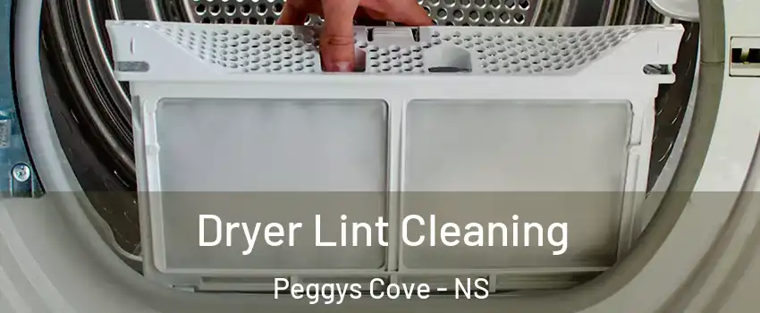  Dryer Lint Cleaning Peggys Cove - NS