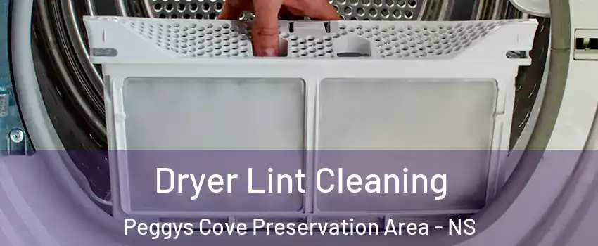  Dryer Lint Cleaning Peggys Cove Preservation Area - NS