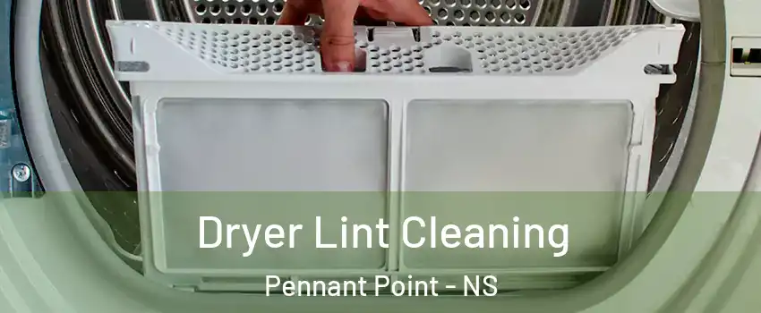  Dryer Lint Cleaning Pennant Point - NS