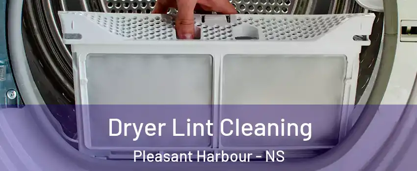  Dryer Lint Cleaning Pleasant Harbour - NS