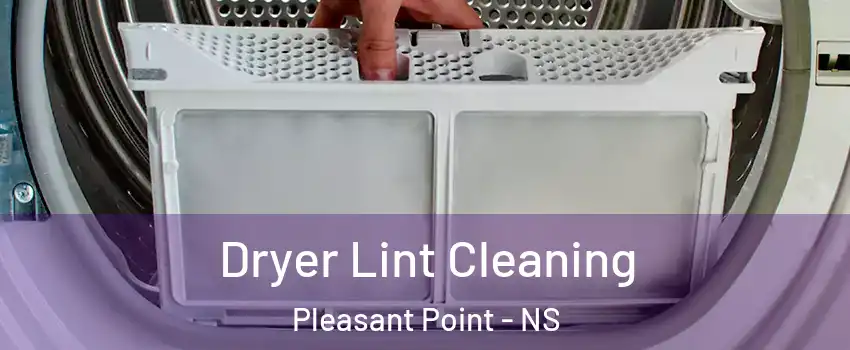  Dryer Lint Cleaning Pleasant Point - NS