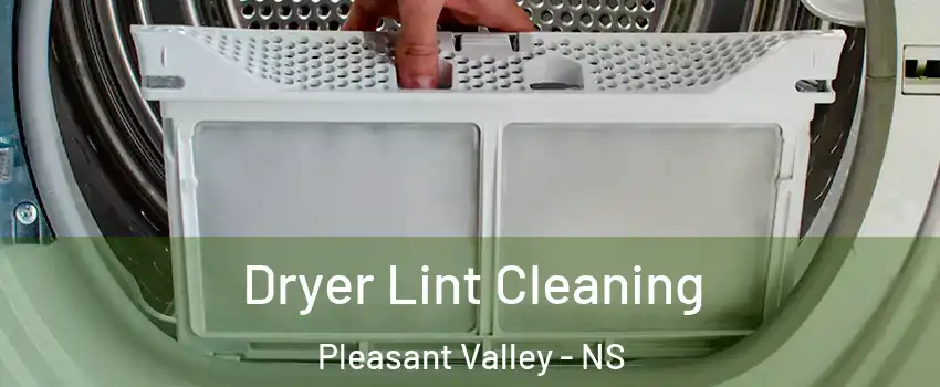  Dryer Lint Cleaning Pleasant Valley - NS