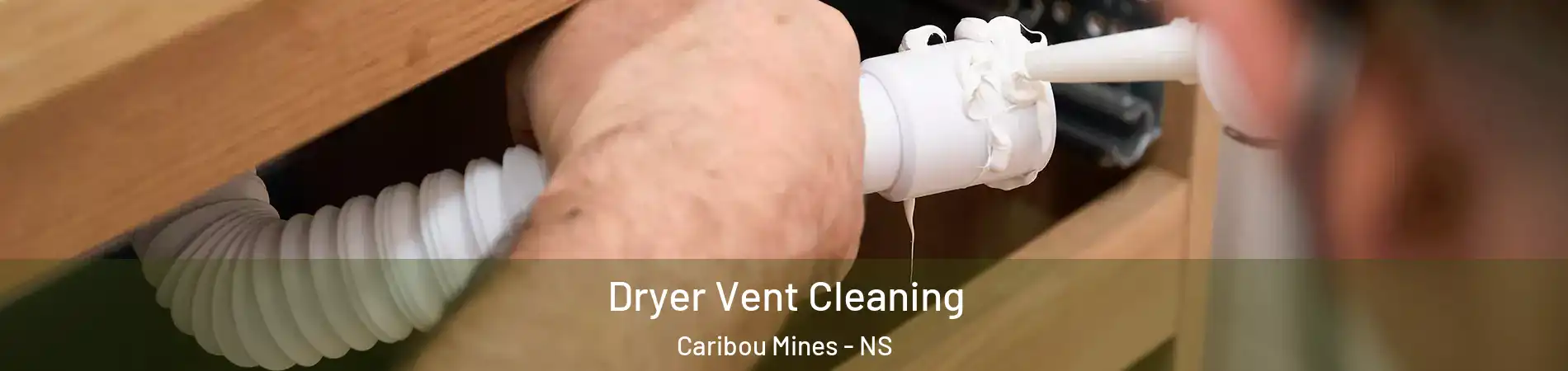 Dryer Vent Cleaning Caribou Mines - NS