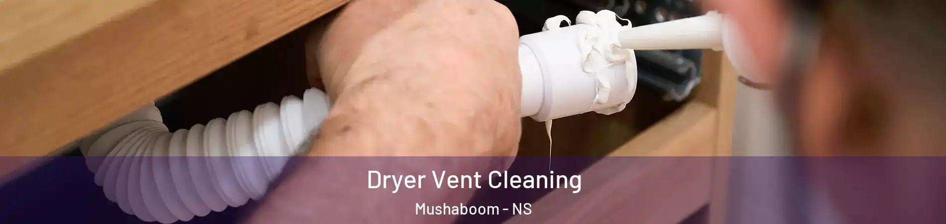  Dryer Vent Cleaning Mushaboom - NS