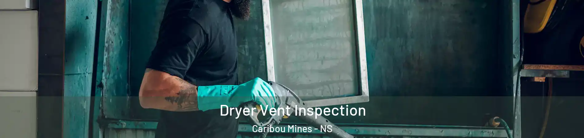  Dryer Vent Inspection Caribou Mines - NS