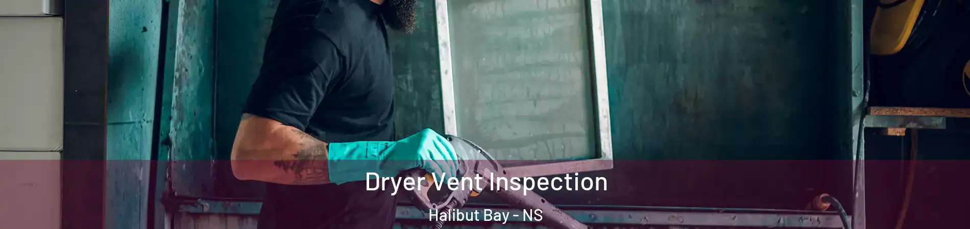  Dryer Vent Inspection Halibut Bay - NS