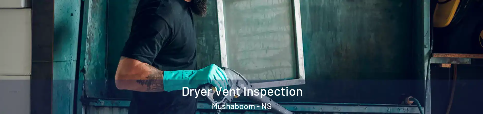  Dryer Vent Inspection Mushaboom - NS