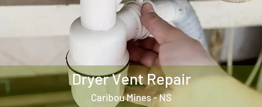  Dryer Vent Repair Caribou Mines - NS