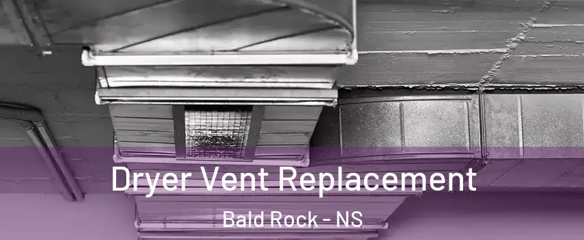  Dryer Vent Replacement Bald Rock - NS