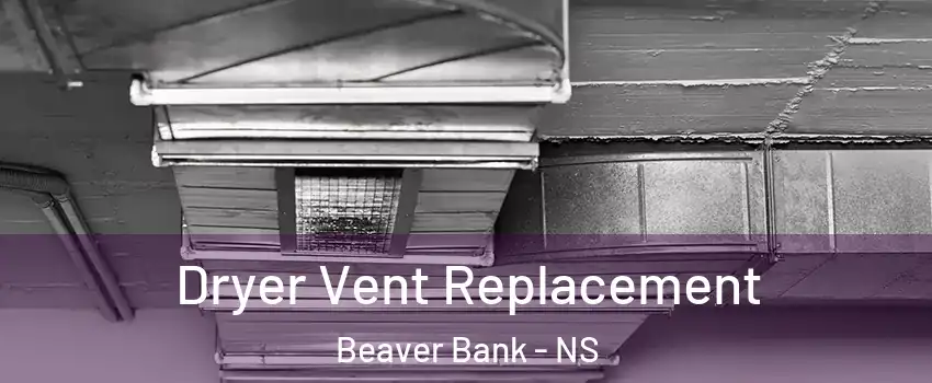  Dryer Vent Replacement Beaver Bank - NS