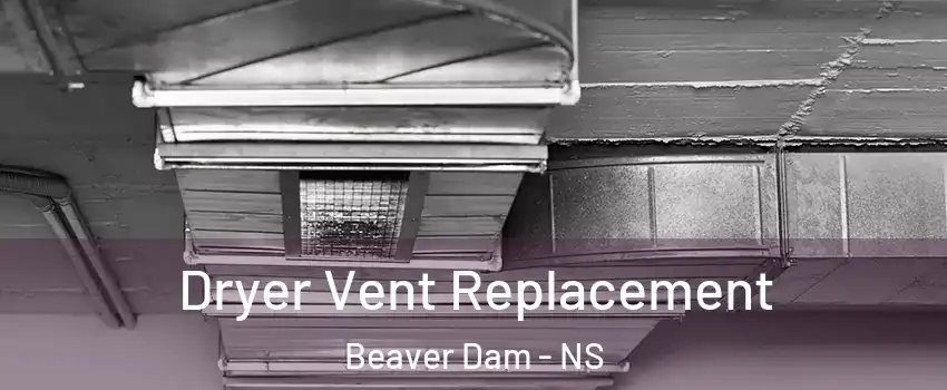  Dryer Vent Replacement Beaver Dam - NS