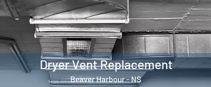  Dryer Vent Replacement Beaver Harbour - NS