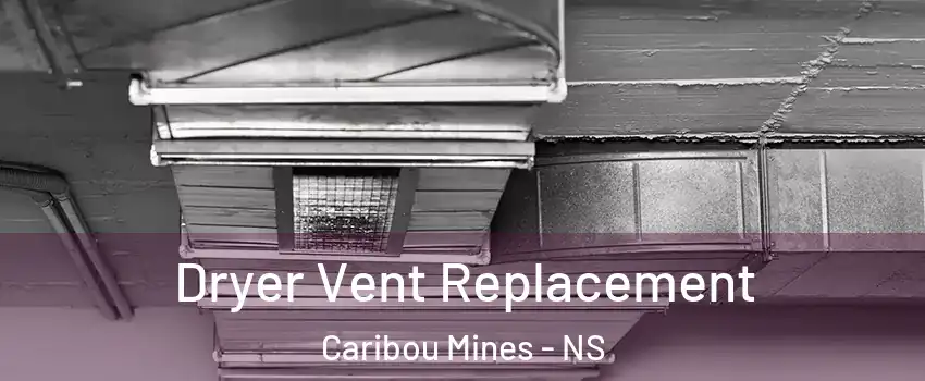  Dryer Vent Replacement Caribou Mines - NS