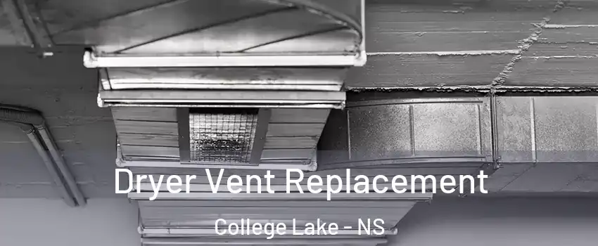  Dryer Vent Replacement College Lake - NS