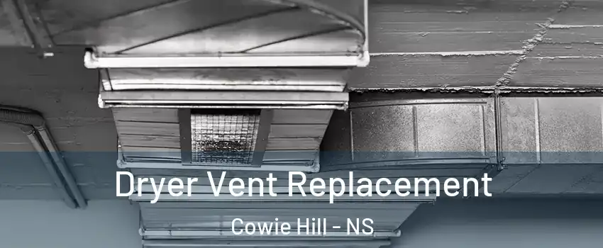  Dryer Vent Replacement Cowie Hill - NS
