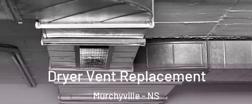 Dryer Vent Replacement Murchyville - NS
