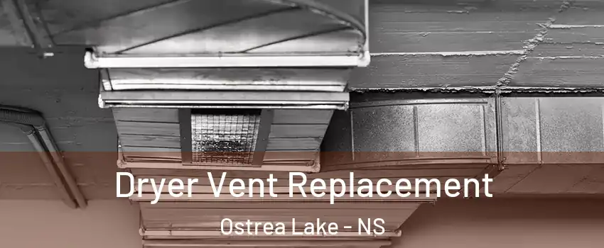  Dryer Vent Replacement Ostrea Lake - NS