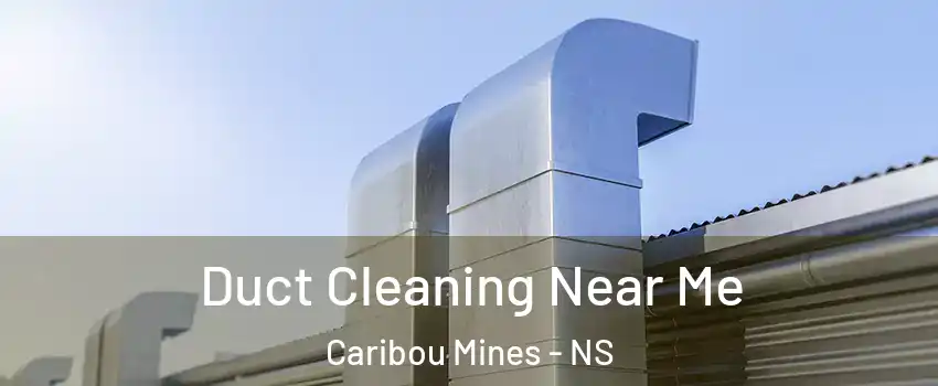  Duct Cleaning Near Me Caribou Mines - NS