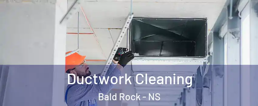  Ductwork Cleaning Bald Rock - NS