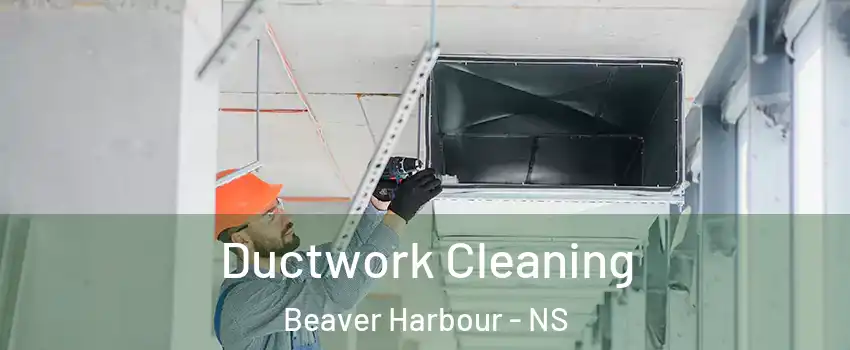  Ductwork Cleaning Beaver Harbour - NS