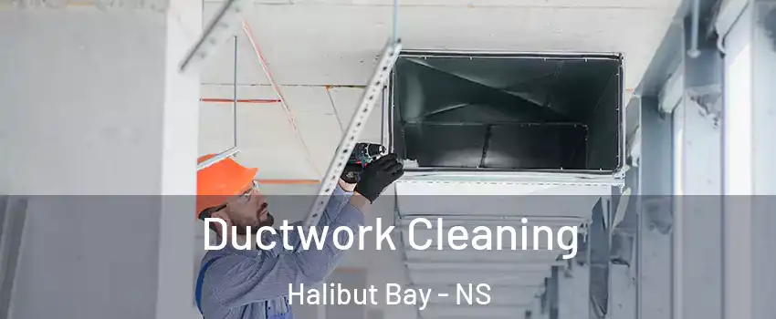  Ductwork Cleaning Halibut Bay - NS