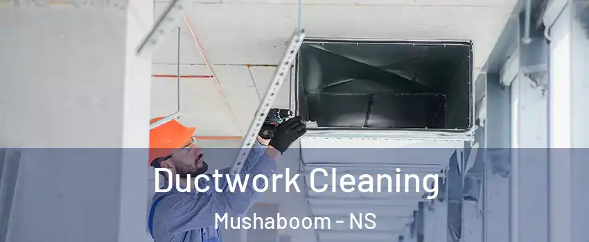  Ductwork Cleaning Mushaboom - NS