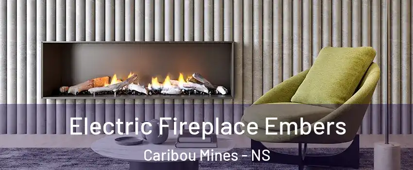  Electric Fireplace Embers Caribou Mines - NS