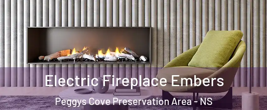  Electric Fireplace Embers Peggys Cove Preservation Area - NS