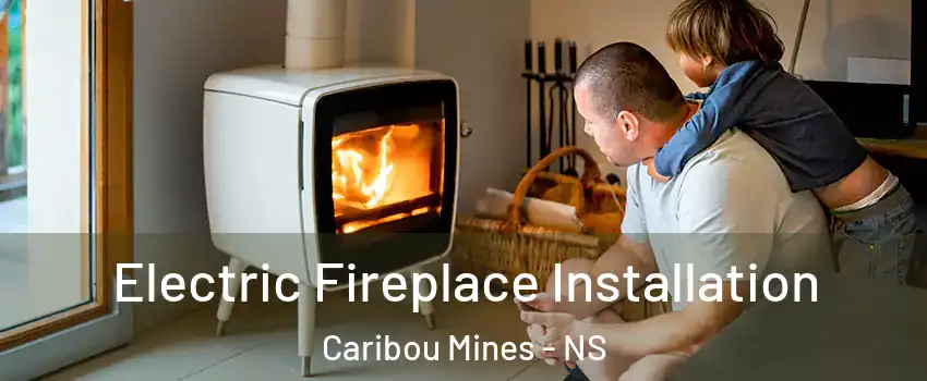  Electric Fireplace Installation Caribou Mines - NS