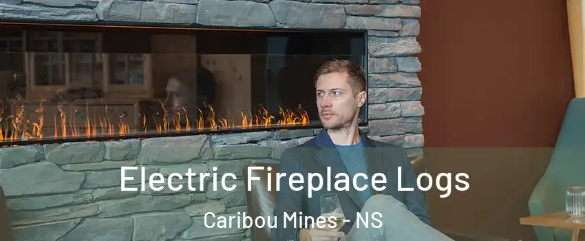  Electric Fireplace Logs Caribou Mines - NS