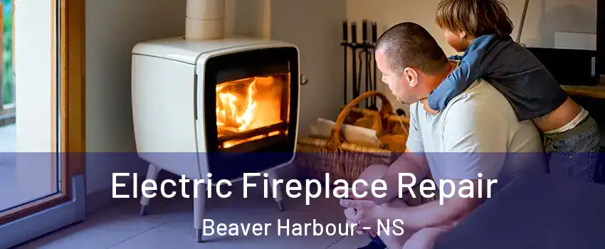  Electric Fireplace Repair Beaver Harbour - NS