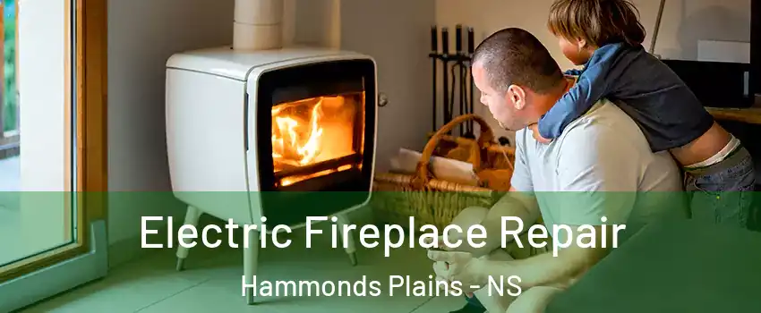  Electric Fireplace Repair Hammonds Plains - NS
