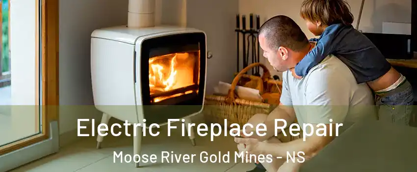  Electric Fireplace Repair Moose River Gold Mines - NS