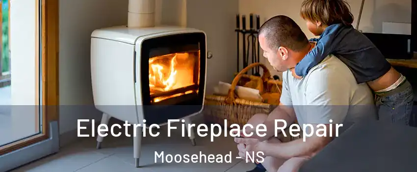  Electric Fireplace Repair Moosehead - NS