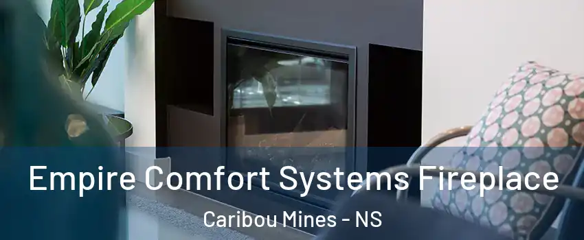  Empire Comfort Systems Fireplace Caribou Mines - NS