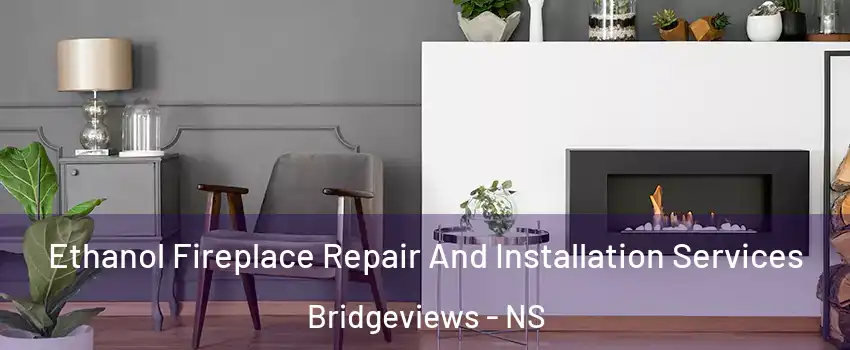  Ethanol Fireplace Repair And Installation Services Bridgeviews - NS