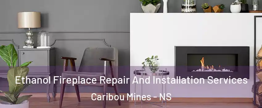  Ethanol Fireplace Repair And Installation Services Caribou Mines - NS