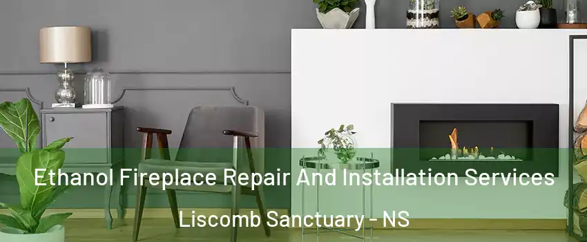  Ethanol Fireplace Repair And Installation Services Liscomb Sanctuary - NS