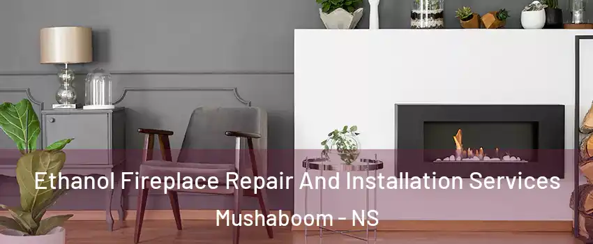  Ethanol Fireplace Repair And Installation Services Mushaboom - NS