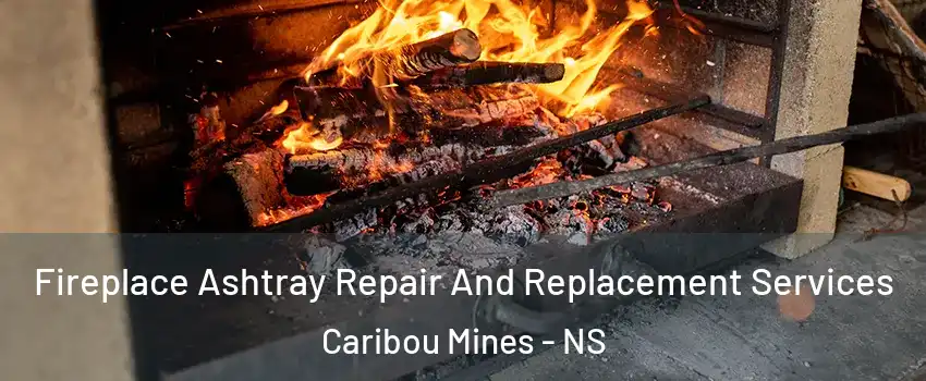  Fireplace Ashtray Repair And Replacement Services Caribou Mines - NS