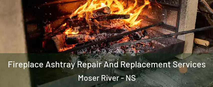 Fireplace Ashtray Repair And Replacement Services Moser River - NS