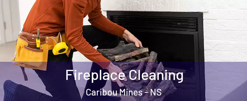  Fireplace Cleaning Caribou Mines - NS