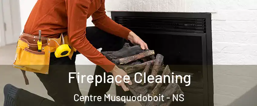  Fireplace Cleaning Centre Musquodoboit - NS